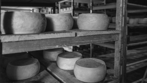 queso artesanal