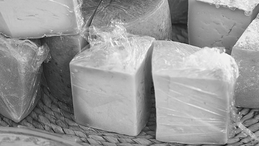 ¿Qué tipos de queso existen en el mundo?